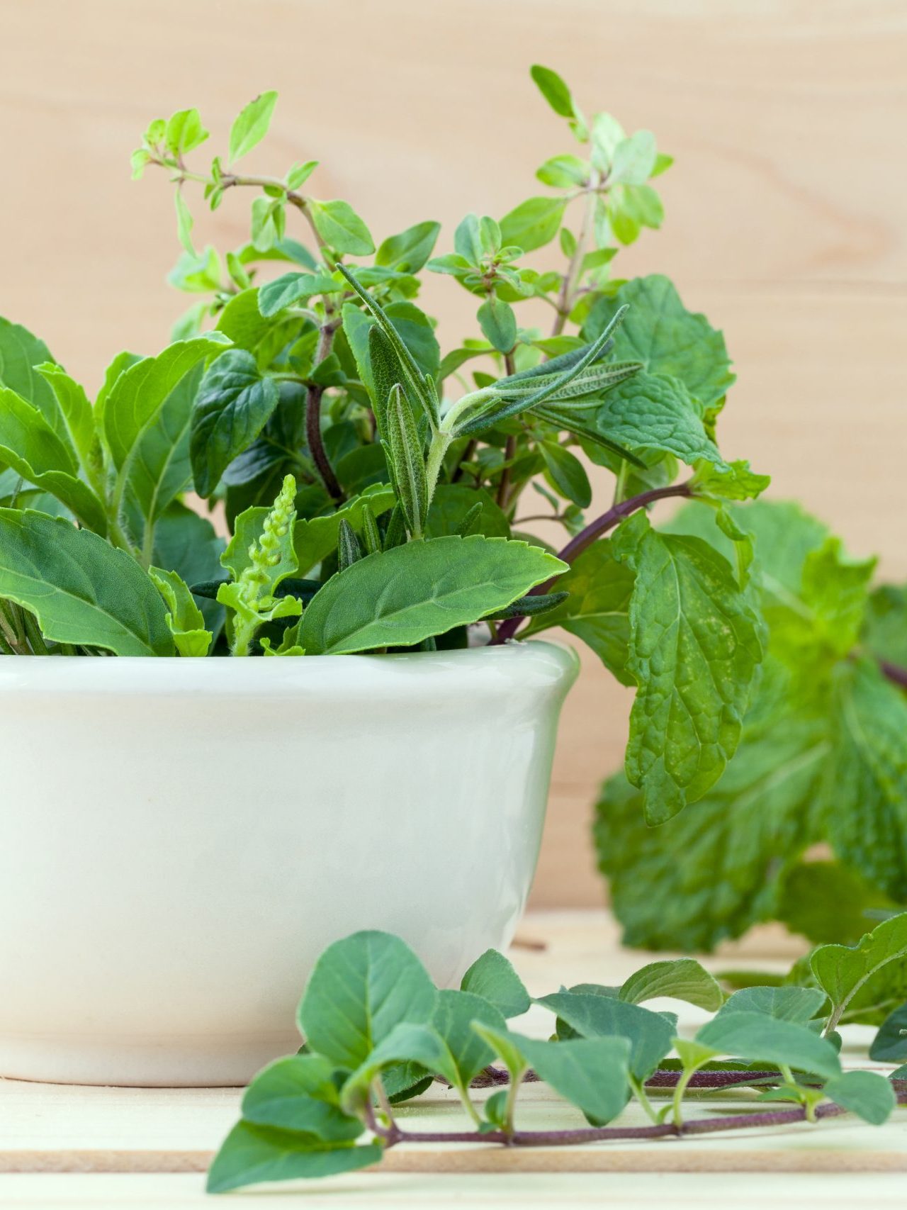 Alternative health care fresh herbs on wooden background.